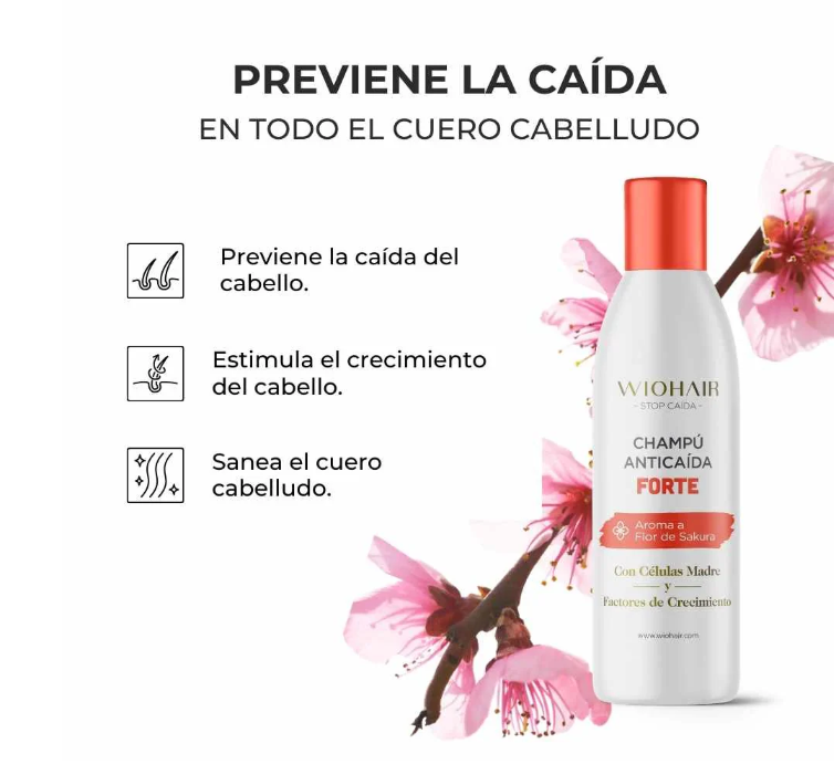 Caja VERANO Olistic Next + Gummies Piel Radiante y Champú Wiohair Sakura GRATIS-Logiservice Farma
