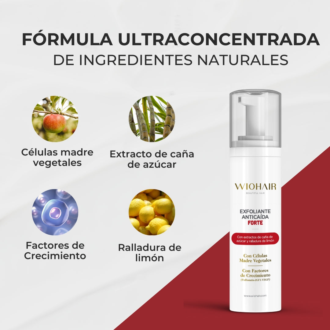 *Caja Olistic Next + Bolsa y Exfoliante Wiohair GRATIS.-Logiservice Farma